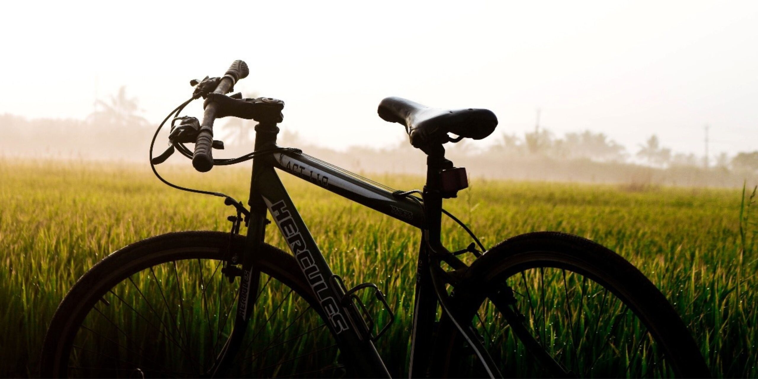 Cycle through Kerala
