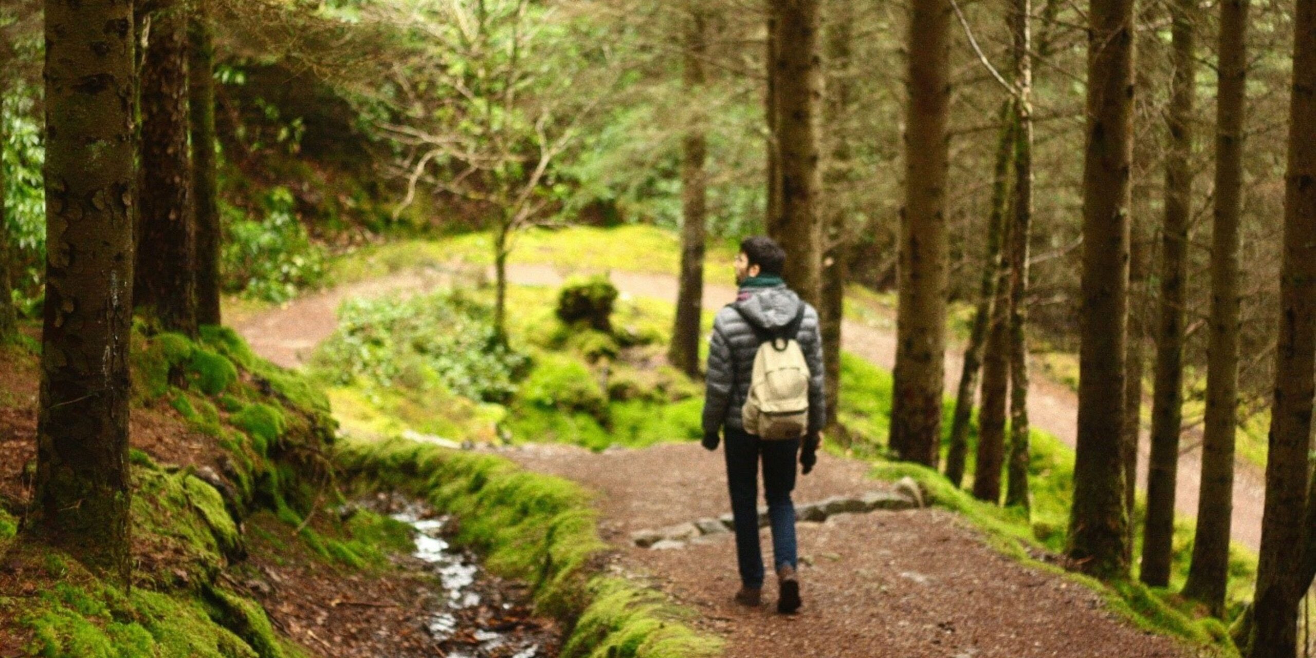 Trek To Magical Land of Gavi