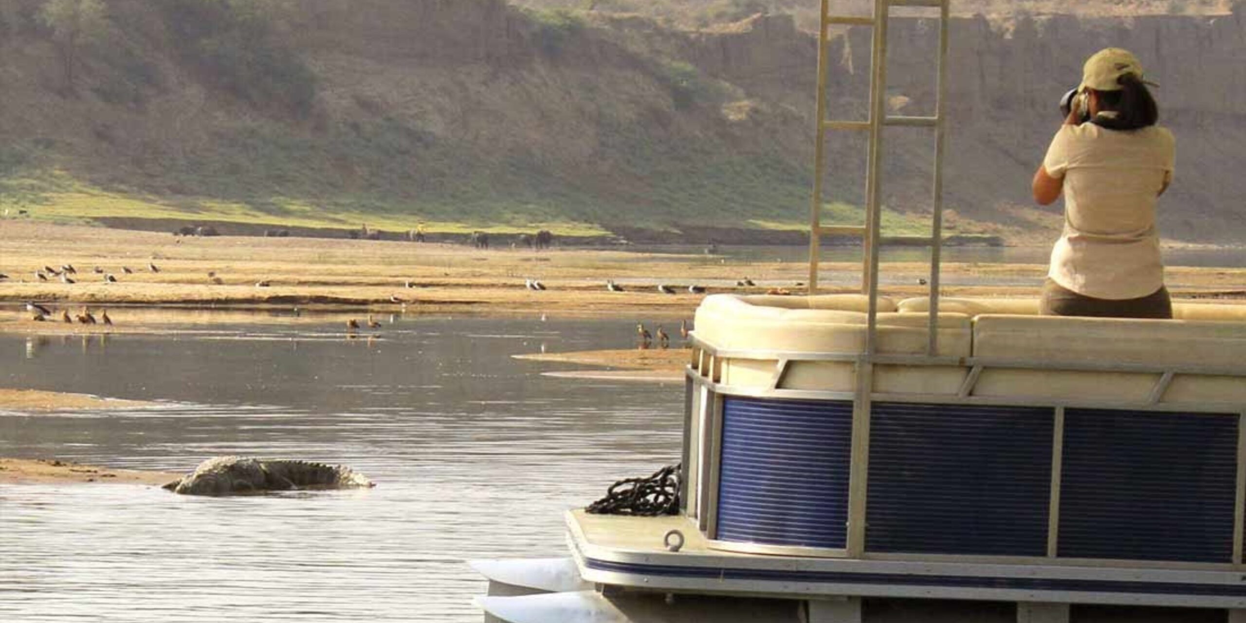 Boat ride with Alligators in Chambal River