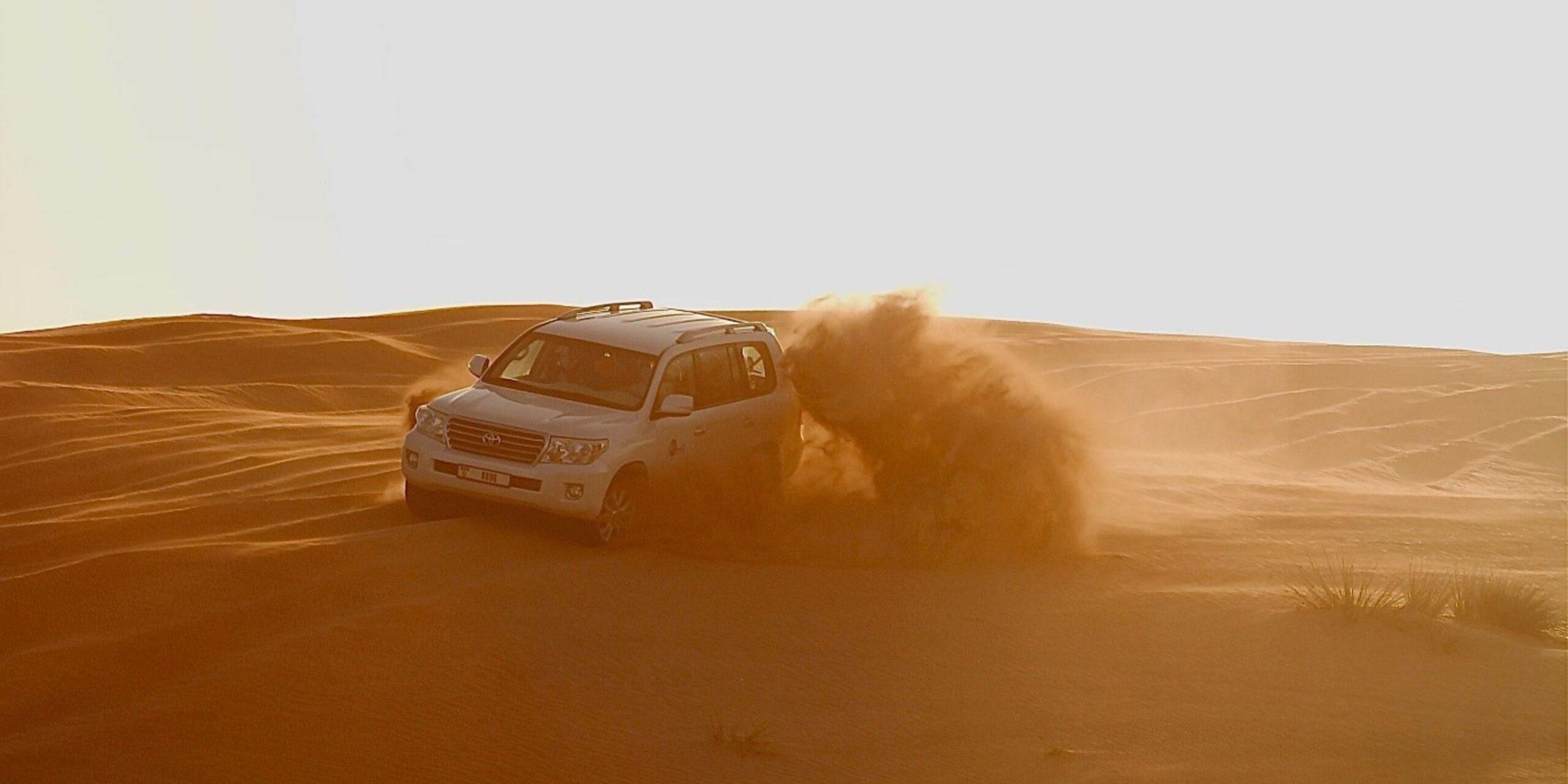 Dunes Bashing in Desert